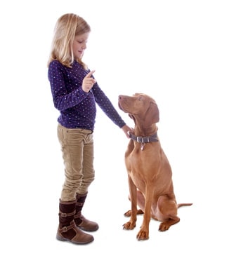 proteger son enfant des morsures