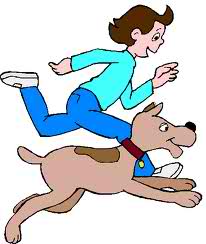 proteger son enfant des morsures