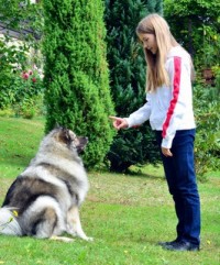 Kind Hund Hundeschule