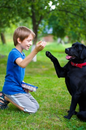boy with dog