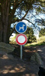 sentier autorisé aux chiens