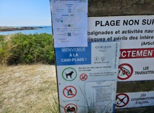 promener son chien sans laisse