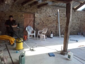 chien ou chat peu importe : leur amour est infini !