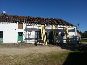 chien ou chat peu importe : leur amour est infini !