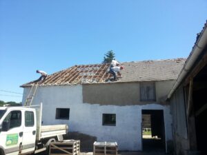 chien ou chat peu importe : leur amour est infini !