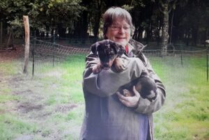 Quel chien vous correspond ?