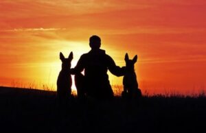 Respectez-vous les besoins de votre chien ?