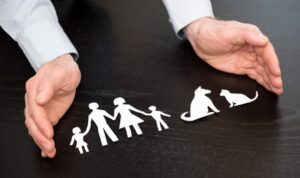 Respectez-vous les besoins de votre chien ?