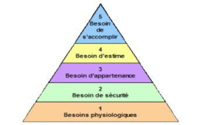 respectez-vous les besoins de votre chien