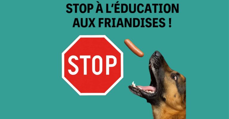 Stop à l’éducation aux friandises !