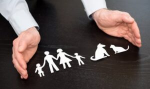 Comment devenir comportementaliste animalier ?